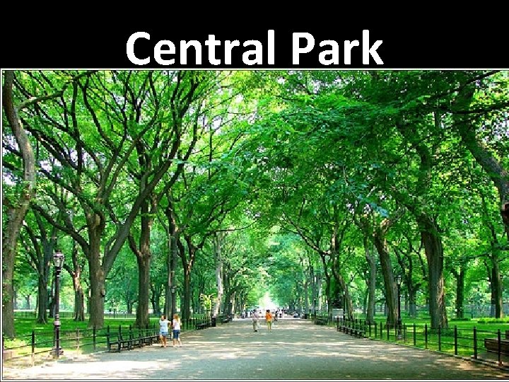 Central Park Central Park