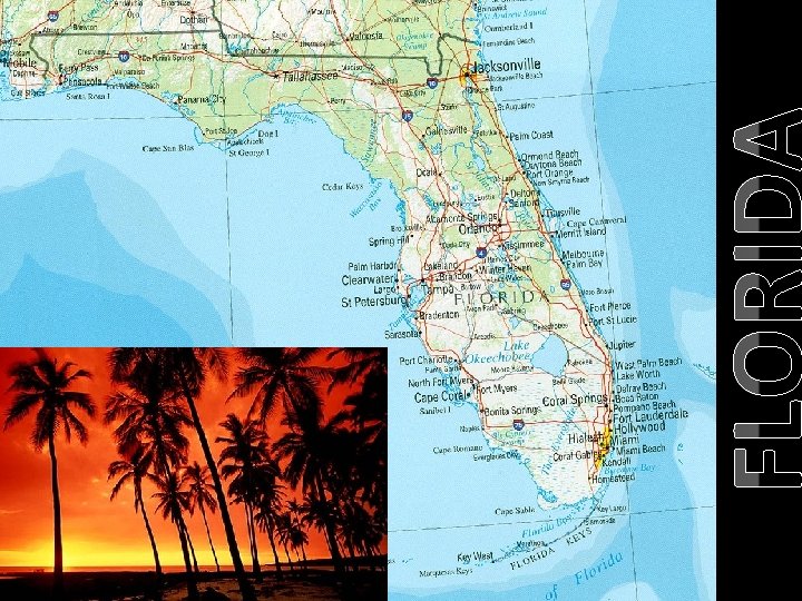 FLORIDA FLORIDA