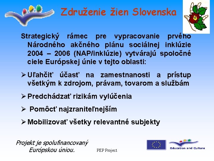 Združenie žien Slovenska Strategický rámec pre vypracovanie prvého Národného akčného plánu sociálnej inklúzie 2004