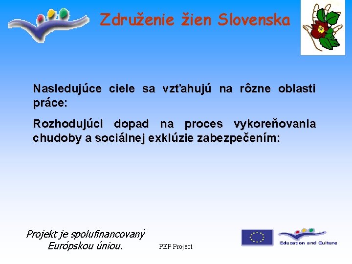 Združenie žien Slovenska Nasledujúce ciele sa vzťahujú na rôzne oblasti práce: Rozhodujúci dopad na