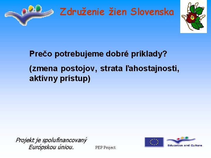 Združenie žien Slovenska Prečo potrebujeme dobré príklady? (zmena postojov, strata ľahostajnosti, aktívny prístup) Projekt