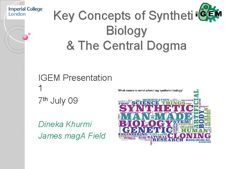 Key Concepts of Synthetic Biology & The Central Dogma IGEM Presentation 1 7 th
