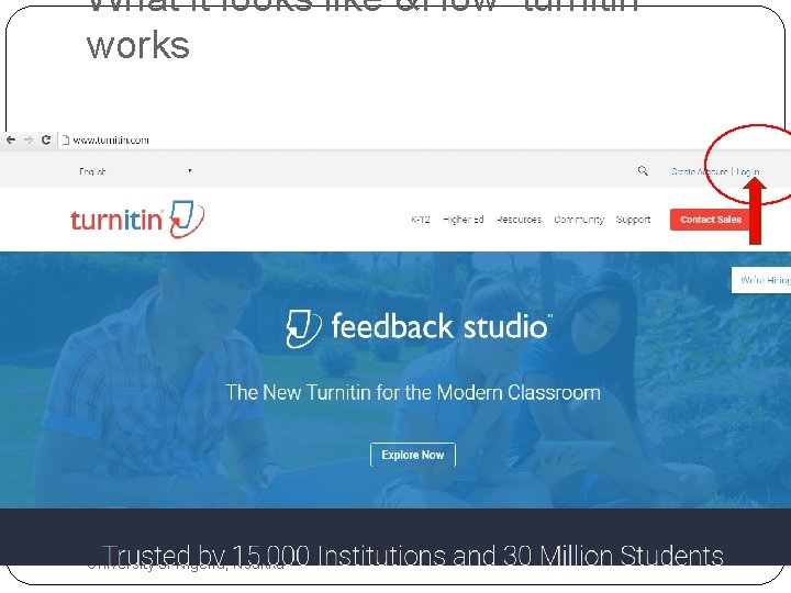 What it looks like &How turnitin works Workshop for postgraduate students of University of