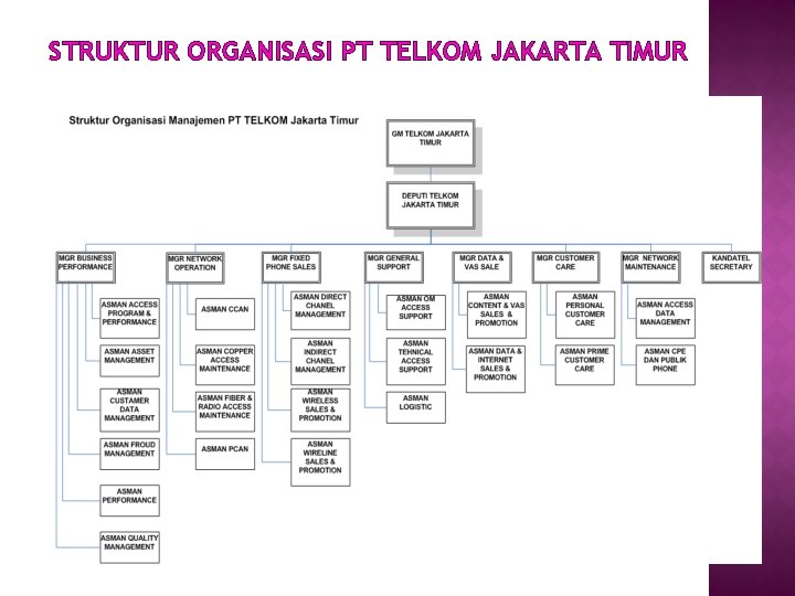 STRUKTUR ORGANISASI PT TELKOM JAKARTA TIMUR 