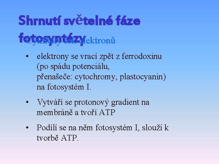 Shrnutí světelné fáze fotosyntézy Cyklický tok elektronů • elektrony se vrací zpět z ferrodoxinu