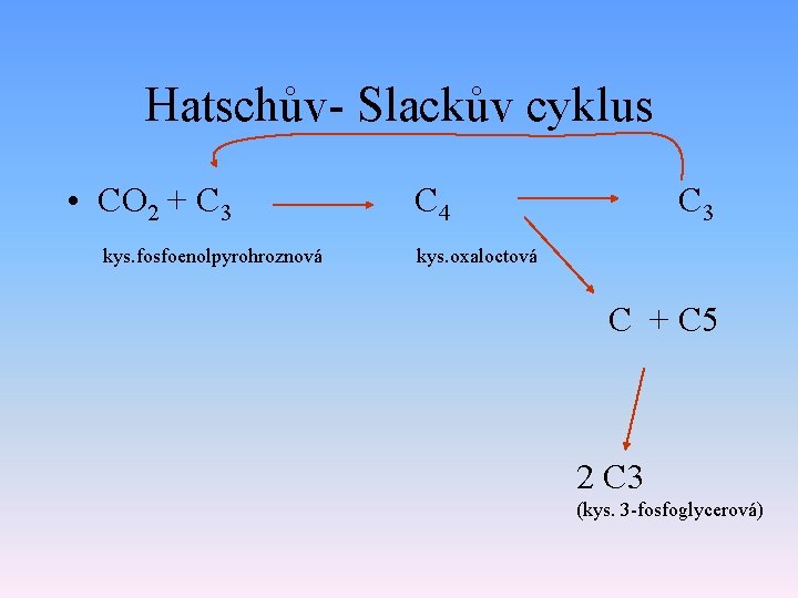 Hatschův- Slackův cyklus • CO 2 + C 3 C 4 C 3 kys.