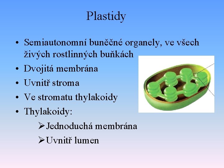 Plastidy • Semiautonomní buněčné organely, ve všech živých rostlinných buňkách • Dvojitá membrána •