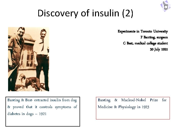 Discovery of insulin (2) Experiments in Toronto University F Banting, surgeon C Best, medical