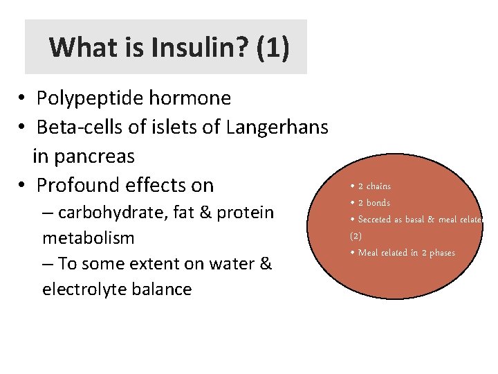 What is Insulin? (1) • Polypeptide hormone • Beta-cells of islets of Langerhans in