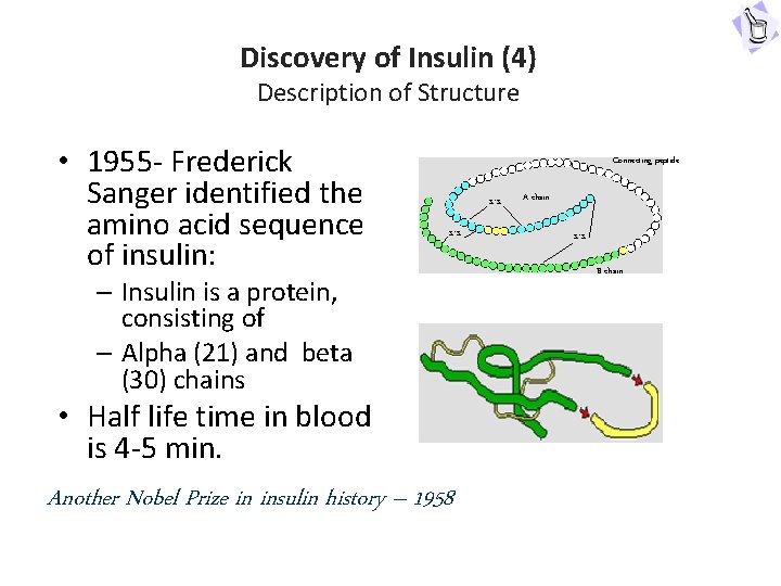 Discovery of Insulin (4) Description of Structure • 1955 - Frederick Sanger identified the