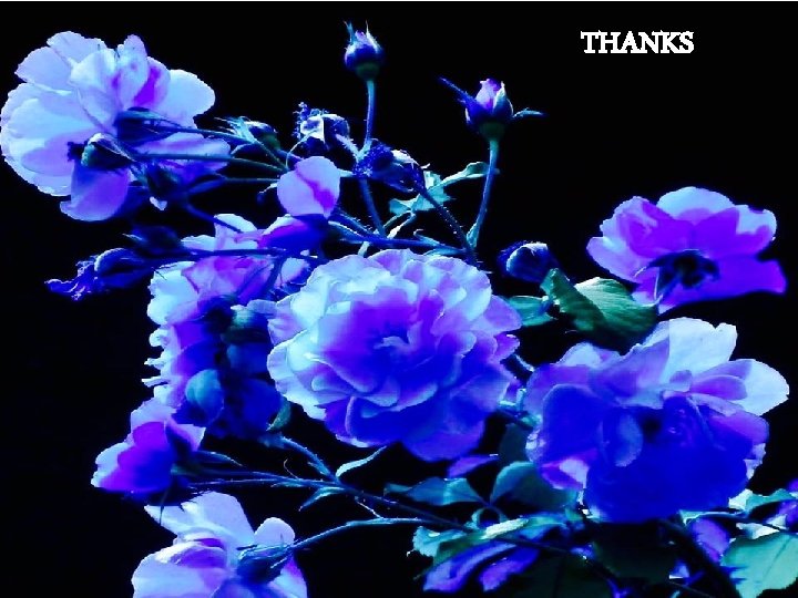 Thanks. THANKS to all Thank you 