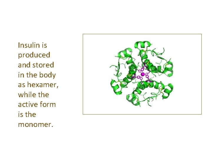 Insulin is produced and stored in the body as hexamer, while the active form