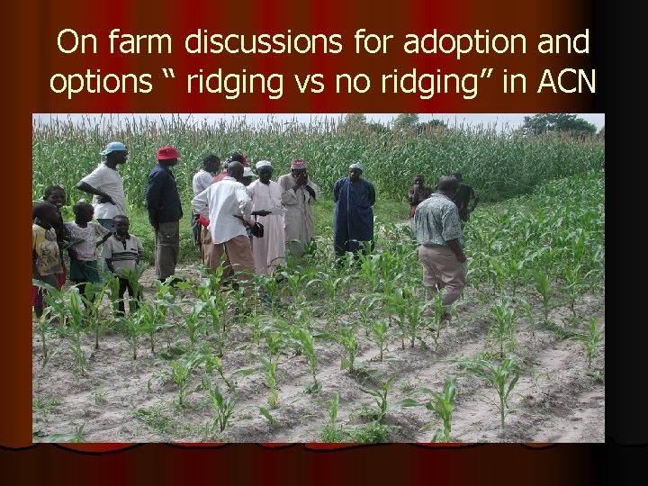 On farm discussions for adoption and options “ ridging vs no ridging” in ACN