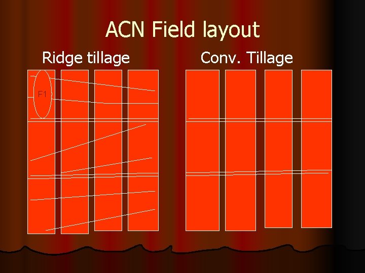 ACN Field layout Ridge tillage F 1 Conv. Tillage 