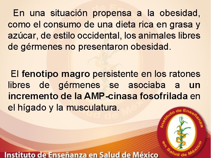 En una situación propensa a la obesidad, como el consumo de una dieta rica