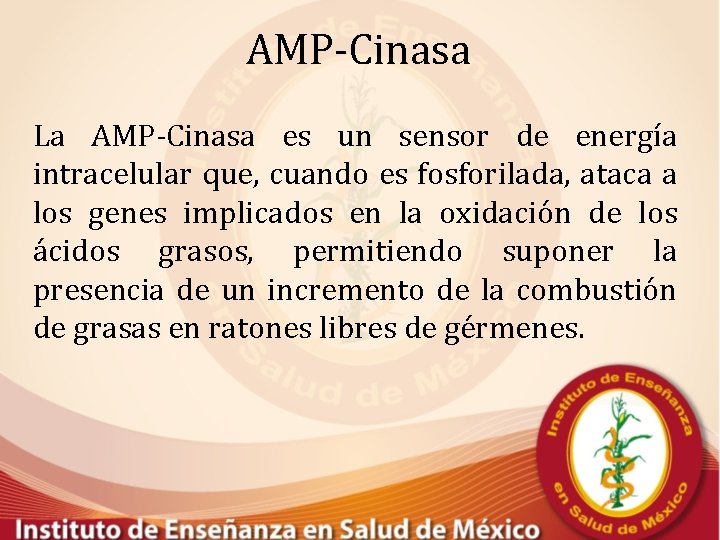 AMP-Cinasa La AMP-Cinasa es un sensor de energía intracelular que, cuando es fosforilada, ataca