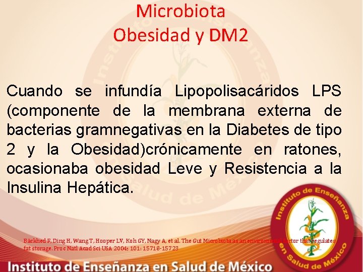 Microbiota Obesidad y DM 2 Cuando se infundía Lipopolisacáridos LPS (componente de la membrana