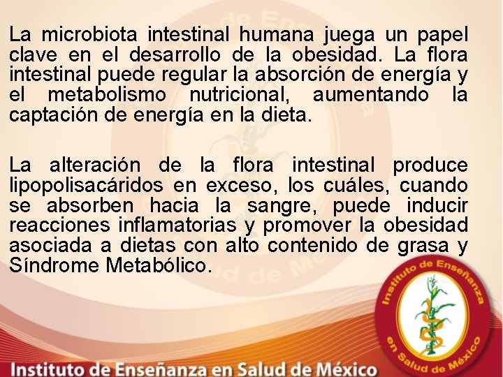 La microbiota intestinal humana juega un papel clave en el desarrollo de la obesidad.