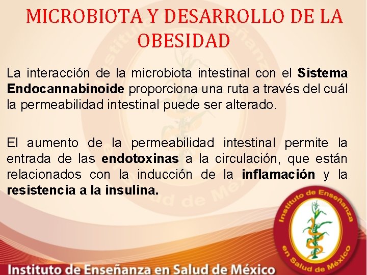 MICROBIOTA Y DESARROLLO DE LA OBESIDAD La interacción de la microbiota intestinal con el