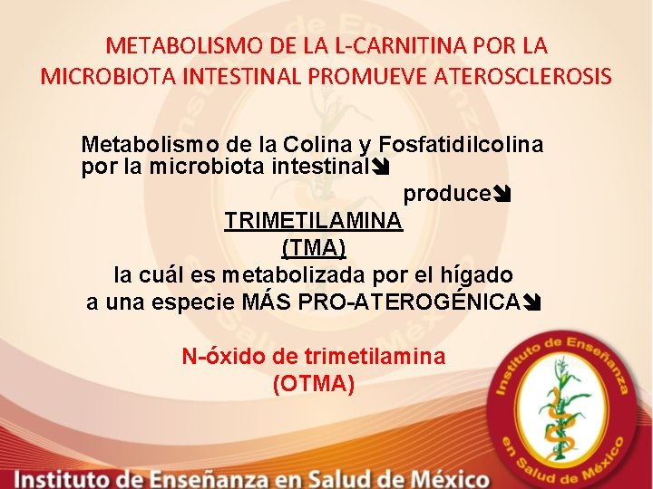 METABOLISMO DE LA L-CARNITINA POR LA MICROBIOTA INTESTINAL PROMUEVE ATEROSCLEROSIS Metabolismo de la Colina