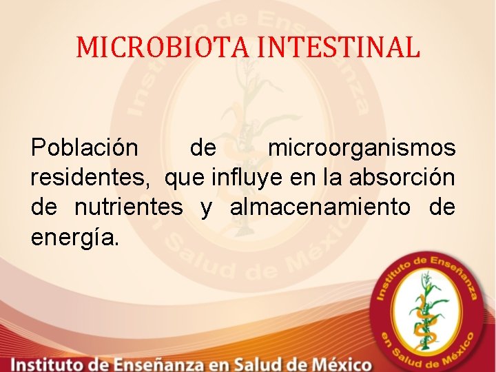 MICROBIOTA INTESTINAL Población de microorganismos residentes, que influye en la absorción de nutrientes y