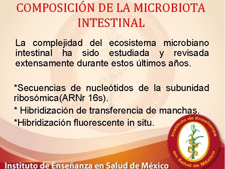 COMPOSICIÓN DE LA MICROBIOTA INTESTINAL La complejidad del ecosistema microbiano intestinal ha sido estudiada
