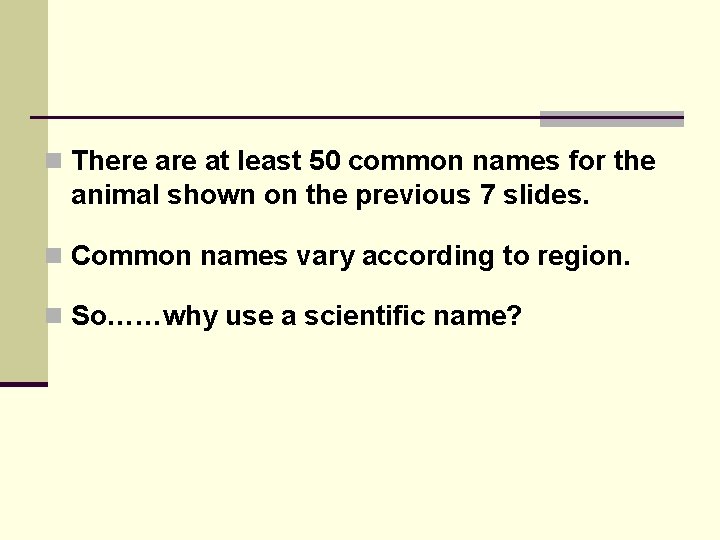 n There at least 50 common names for the animal shown on the previous