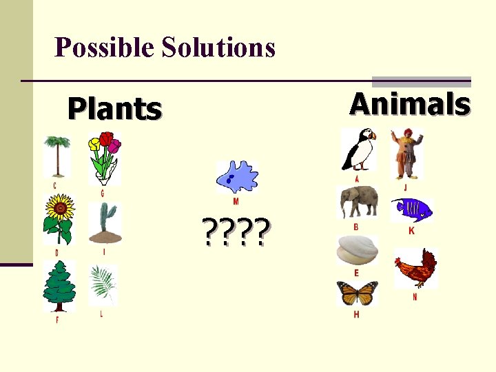 Possible Solutions Animals Plants ? ? 