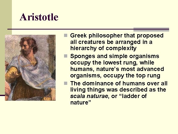 Aristotle n Greek philosopher that proposed all creatures be arranged in a hierarchy of