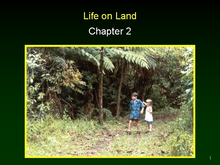 Life on Land Chapter 2 1 