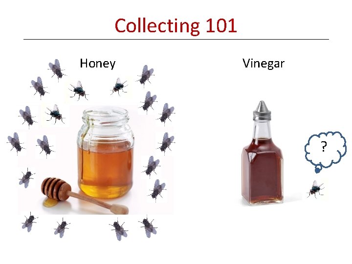 Collecting 101 Honey Vinegar ? 