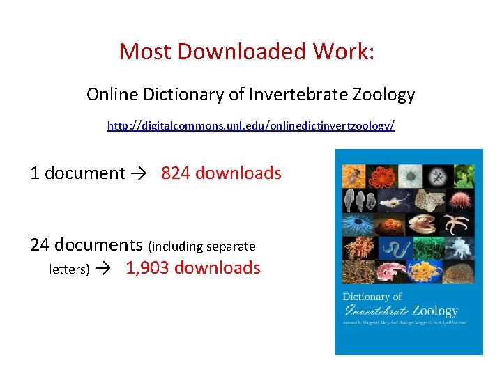 Most Downloaded Work: Online Dictionary of Invertebrate Zoology http: //digitalcommons. unl. edu/onlinedictinvertzoology/ 1 document