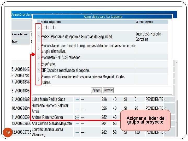 Asignar el líder del grupo al proyecto 19 