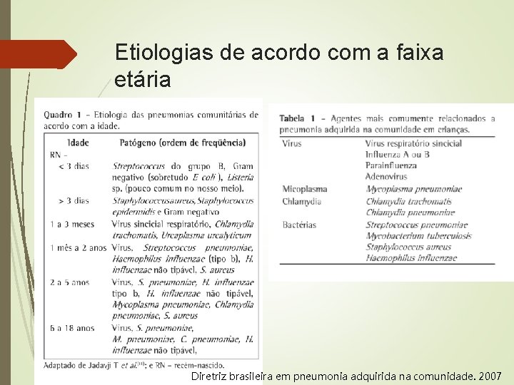 Etiologias de acordo com a faixa etária 2 anos e 8 meses: Vírus Pneumococo