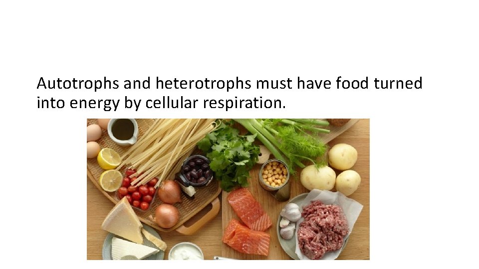 Autotrophs and heterotrophs must have food turned into energy by cellular respiration. 