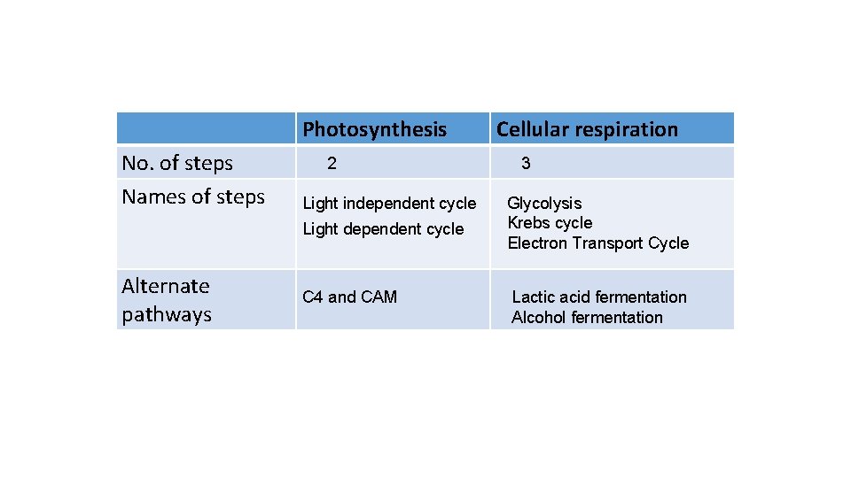 Photosynthesis No. of steps Names of steps 2 Light independent cycle Light dependent cycle