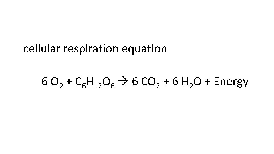 cellular respiration equation 6 O 2 + C 6 H 12 O 6 6