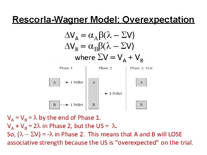 Rescorla-Wagner Model: Overexpectation VA A V) VB B V) where V VA + VB