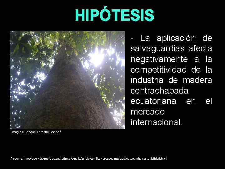 HIPÓTESIS - La aplicación de salvaguardias afecta negativamente a la competitividad de la industria