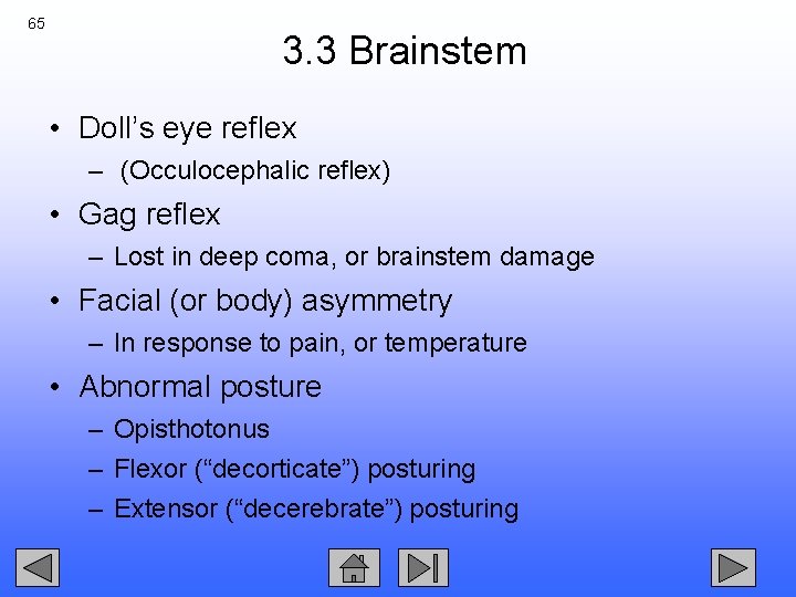 65 3. 3 Brainstem • Doll’s eye reflex – (Occulocephalic reflex) • Gag reflex