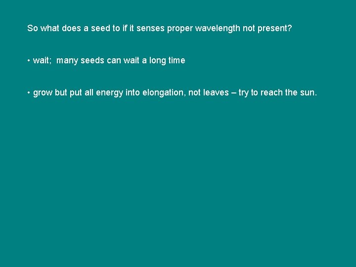 So what does a seed to if it senses proper wavelength not present? • So what does a seed to if it senses proper wavelength not present? •