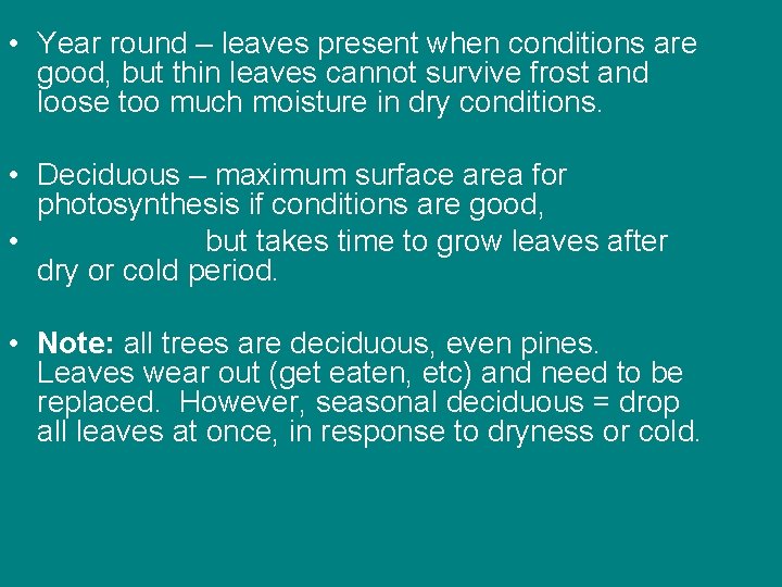 • Year round – leaves present when conditions are good, but thin leaves • Year round – leaves present when conditions are good, but thin leaves