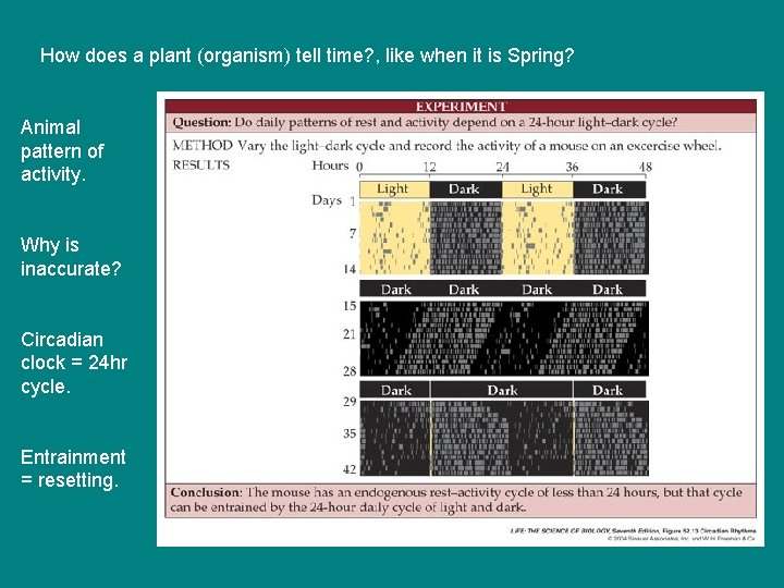 How does a plant (organism) tell time? , like when it is Spring? Animal How does a plant (organism) tell time? , like when it is Spring? Animal