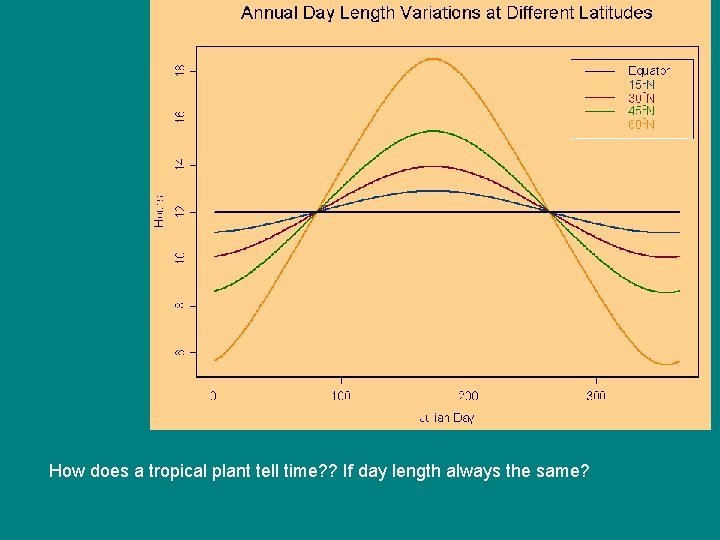 How does a tropical plant tell time? ? If day length always the same? How does a tropical plant tell time? ? If day length always the same?