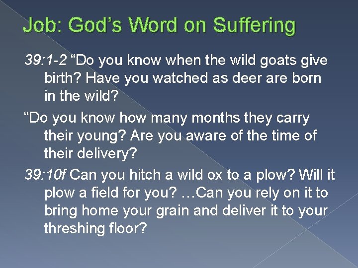 Job: God’s Word on Suffering 39: 1 -2 “Do you know when the wild