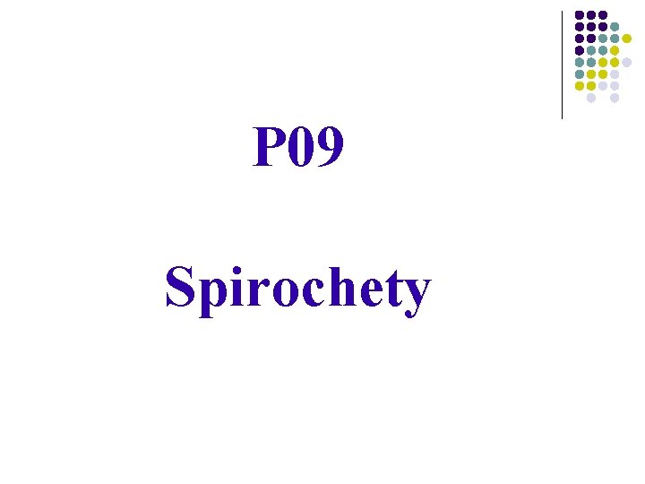 P 09 Spirochety 