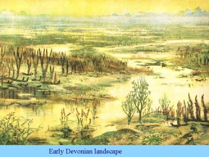 Early Devonian landscape 