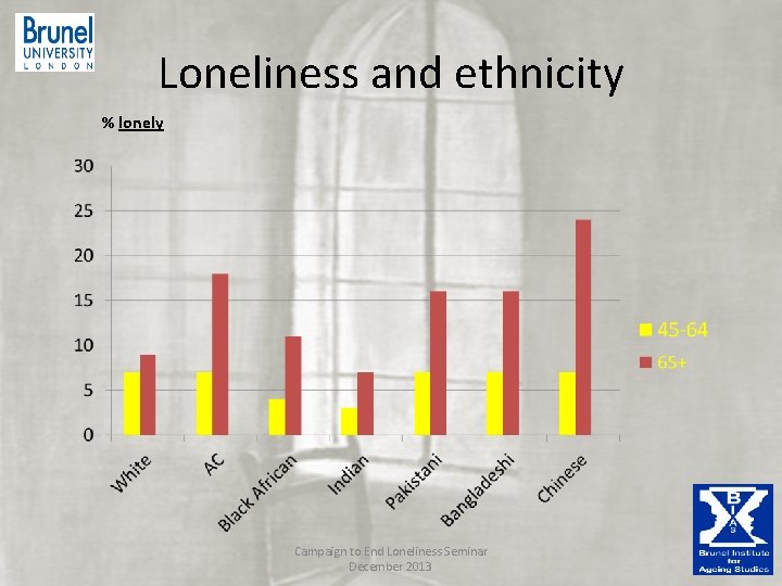 Loneliness and ethnicity % lonely Campaign to End Loneliness Seminar December 2013 Loneliness and ethnicity % lonely Campaign to End Loneliness Seminar December 2013