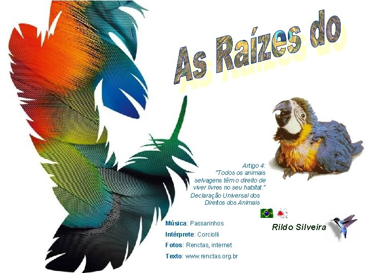 Artigo 4: “Todos os animais selvagens têm o direito de viver livres no seu