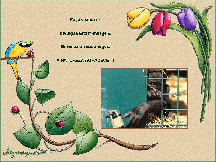 Faça sua parte. Divulgue esta mensagem. Envie para seus amigos. A NATUREZA AGRADECE !!!